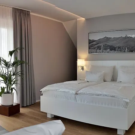 فندق Weinrefugium Brolli 4*